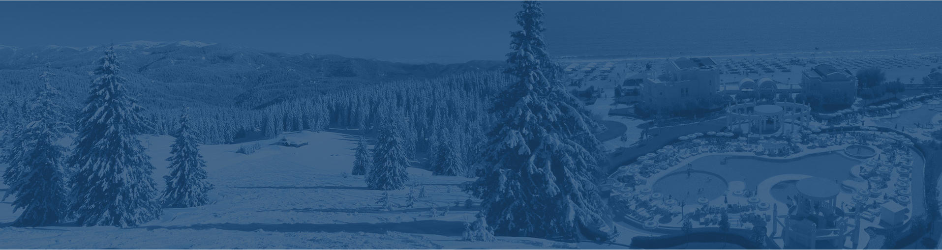 Bulgarian Property Experts